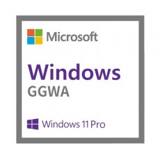 Windows 11 Pro GGWA 기업용 CSP 라이선스 영구버전